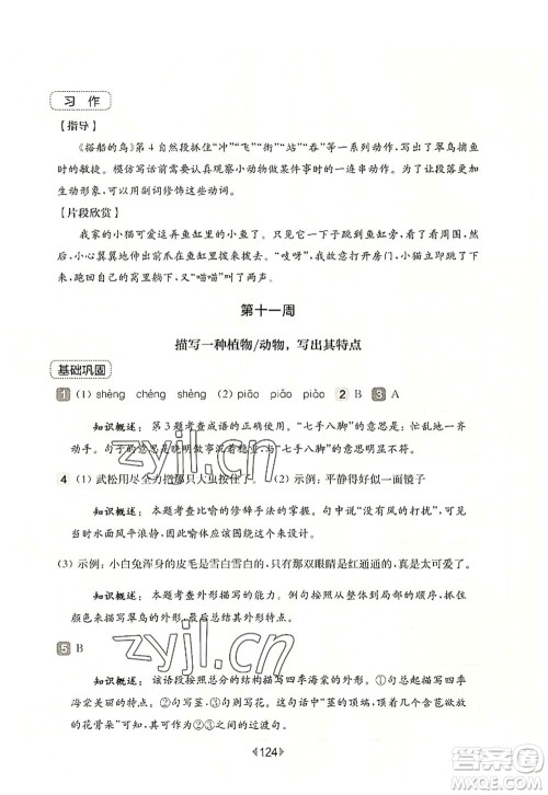 华东师范大学出版社2022一课一练三年级语文第一学期增强版华东师大版上海专用答案