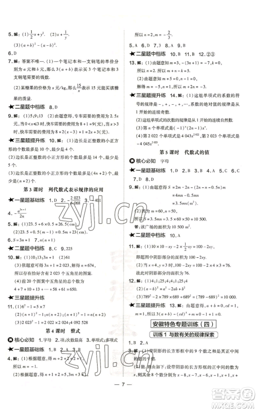 山西教育出版社2022秋季点拨训练七年级上册数学沪科版安徽专用参考答案