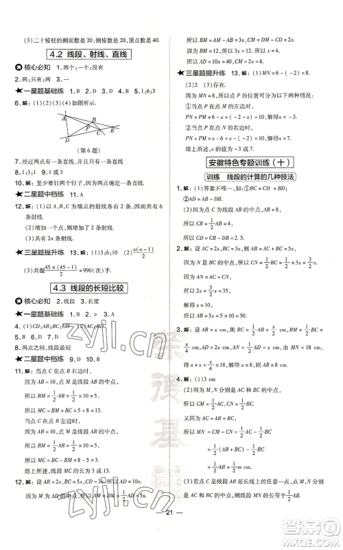 山西教育出版社2022秋季点拨训练七年级上册数学沪科版安徽专用参考答案