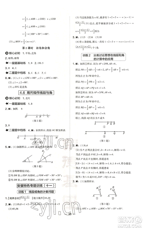 山西教育出版社2022秋季点拨训练七年级上册数学沪科版安徽专用参考答案