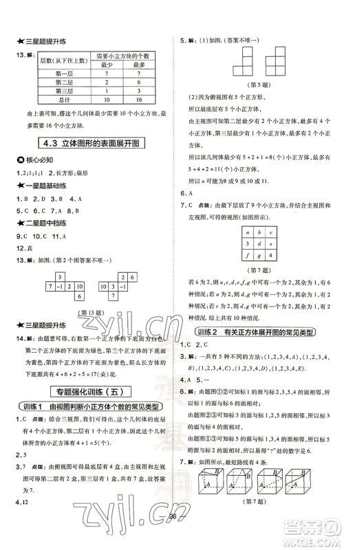 山西教育出版社2022秋季点拨训练七年级上册数学华师大版参考答案