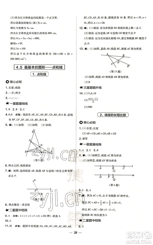 山西教育出版社2022秋季点拨训练七年级上册数学华师大版参考答案