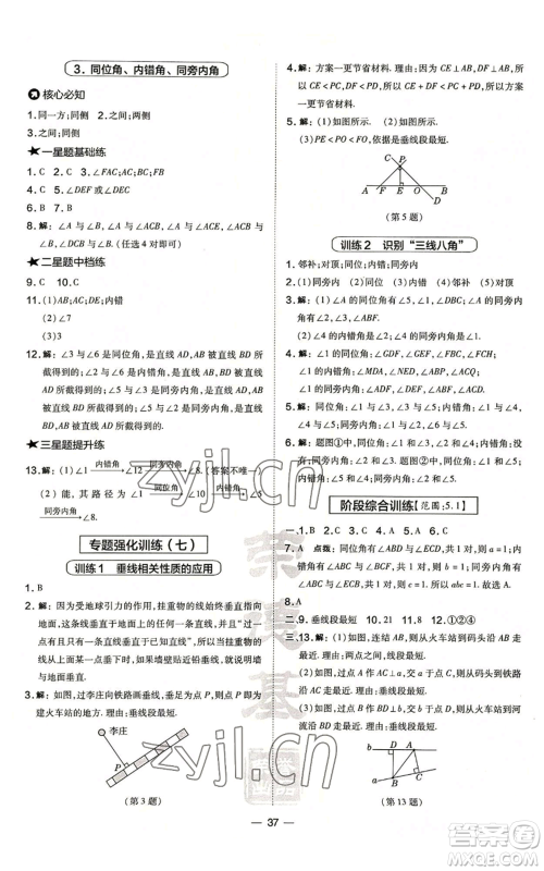 山西教育出版社2022秋季点拨训练七年级上册数学华师大版参考答案