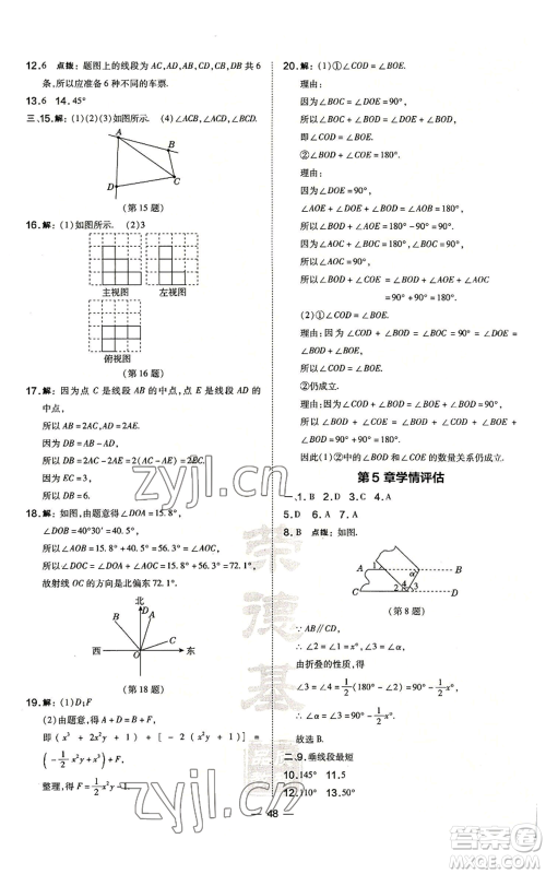 山西教育出版社2022秋季点拨训练七年级上册数学华师大版参考答案