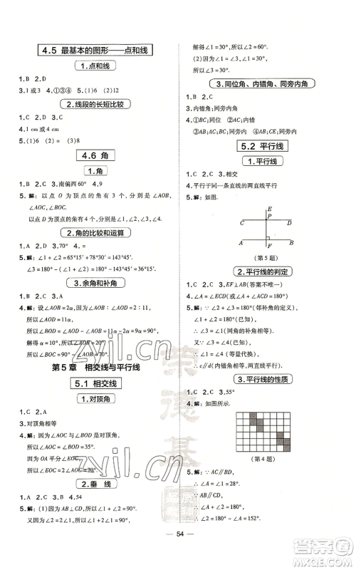 山西教育出版社2022秋季点拨训练七年级上册数学华师大版参考答案