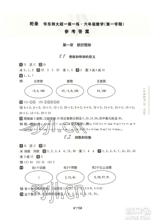华东师范大学出版社2022一课一练六年级数学第一学期华东师大版上海专用答案 华东师范大学出版社2022一课一练六年级数学第一学期华东师大版上海专用答案