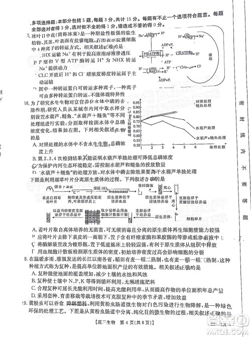 2023届江苏省百校联考高三年级第一次考试生物试卷及答案 2023届江苏省百校联考高三年级第一次考试生物试卷及答案