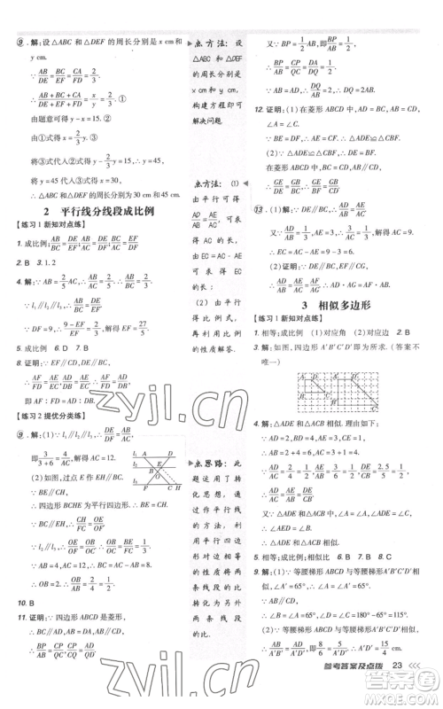 安徽教育出版社2022秋季点拨训练九年级上册数学北师大版参考答案