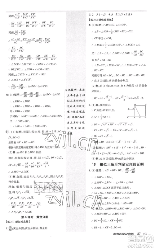 安徽教育出版社2022秋季点拨训练九年级上册数学北师大版参考答案