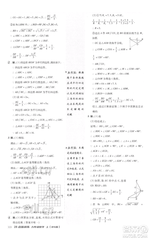 安徽教育出版社2022秋季点拨训练九年级上册数学北师大版参考答案