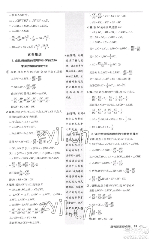 安徽教育出版社2022秋季点拨训练九年级上册数学北师大版参考答案