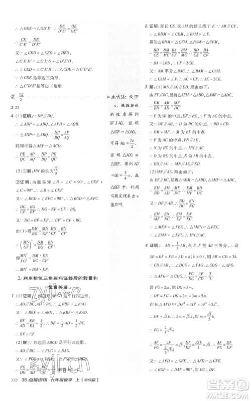 安徽教育出版社2022秋季点拨训练九年级上册数学北师大版参考答案