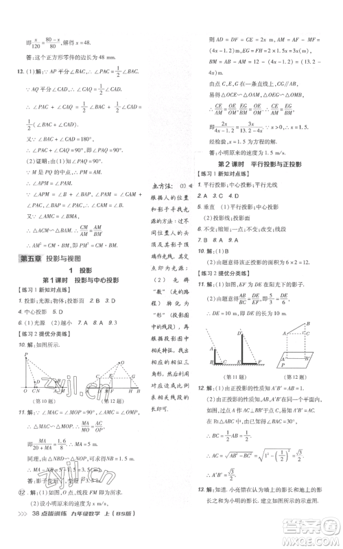 安徽教育出版社2022秋季点拨训练九年级上册数学北师大版参考答案