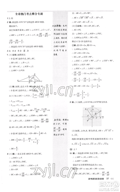 安徽教育出版社2022秋季点拨训练九年级上册数学北师大版参考答案