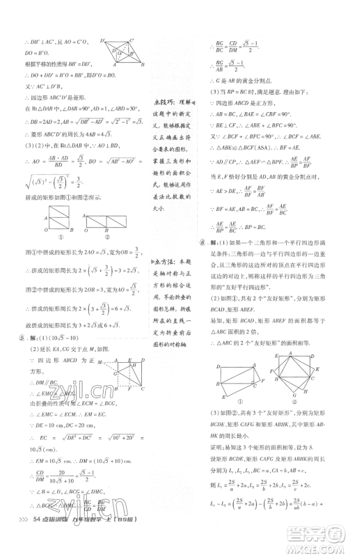 安徽教育出版社2022秋季点拨训练九年级上册数学北师大版参考答案