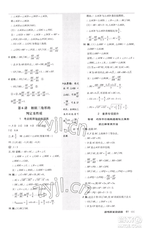 安徽教育出版社2022秋季点拨训练九年级上册数学北师大版参考答案