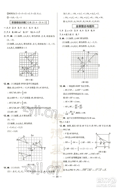 山西教育出版社2022秋季点拨训练九年级上册数学华师大版参考答案