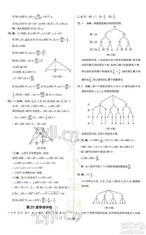 山西教育出版社2022秋季点拨训练九年级上册数学华师大版参考答案