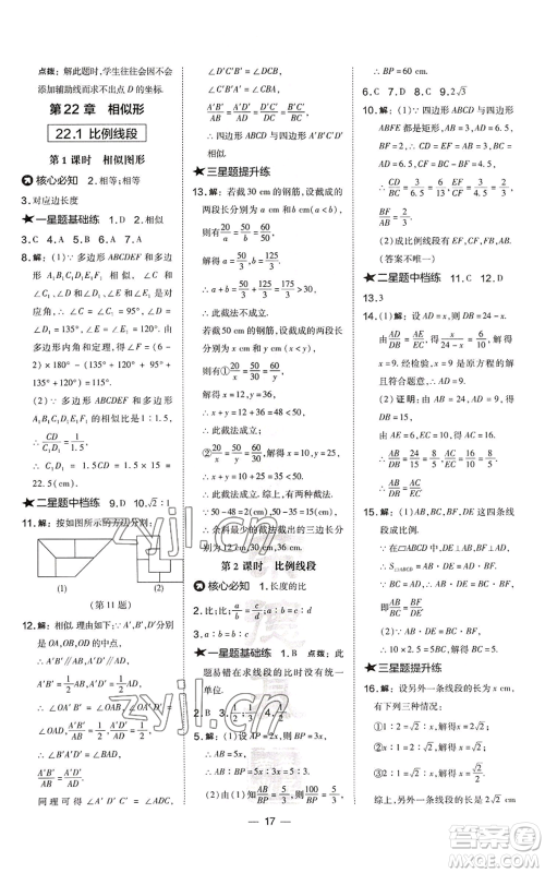 山西教育出版社2022秋季点拨训练九年级上册数学沪科版安徽专用参考答案