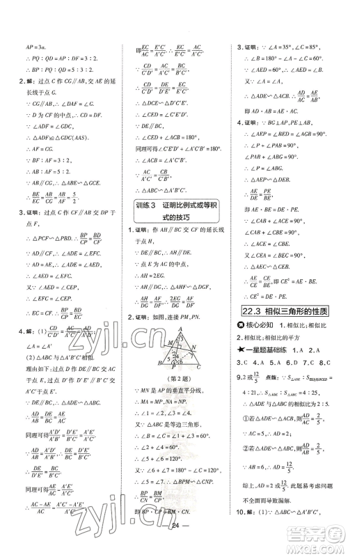 山西教育出版社2022秋季点拨训练九年级上册数学沪科版安徽专用参考答案