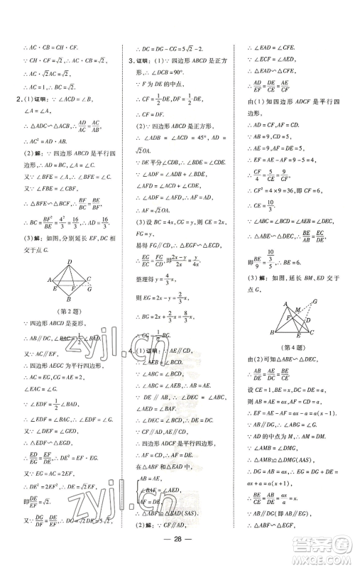 山西教育出版社2022秋季点拨训练九年级上册数学沪科版安徽专用参考答案