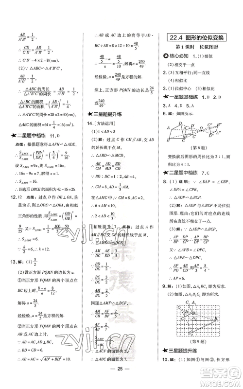 山西教育出版社2022秋季点拨训练九年级上册数学沪科版安徽专用参考答案