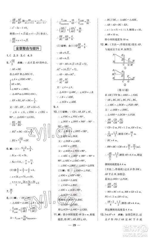 山西教育出版社2022秋季点拨训练九年级上册数学沪科版安徽专用参考答案