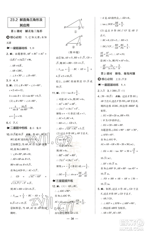 山西教育出版社2022秋季点拨训练九年级上册数学沪科版安徽专用参考答案