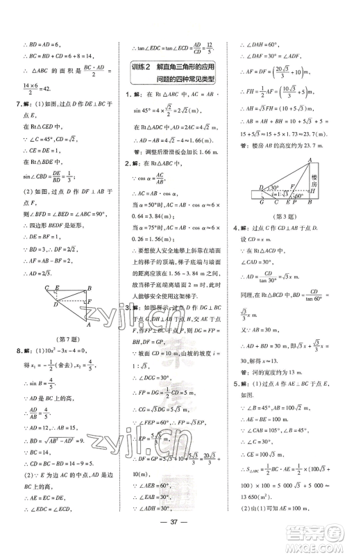 山西教育出版社2022秋季点拨训练九年级上册数学沪科版安徽专用参考答案