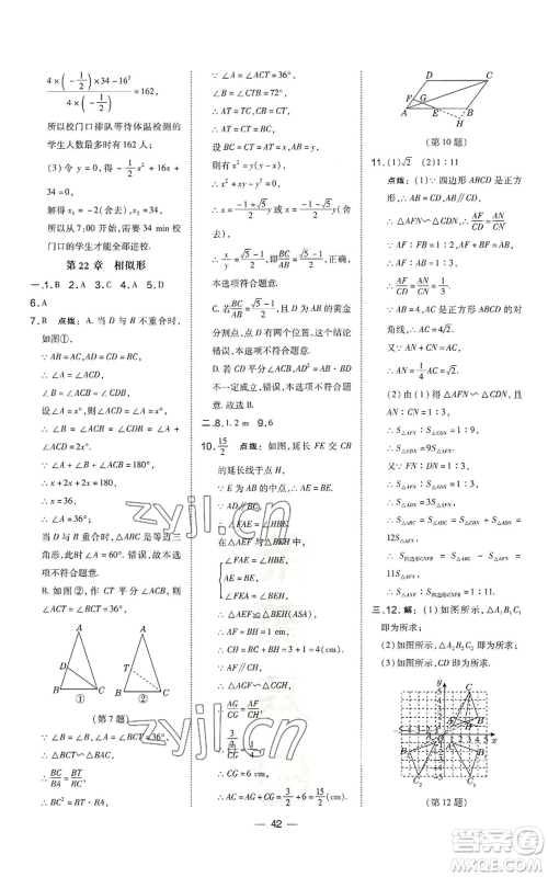 山西教育出版社2022秋季点拨训练九年级上册数学沪科版安徽专用参考答案