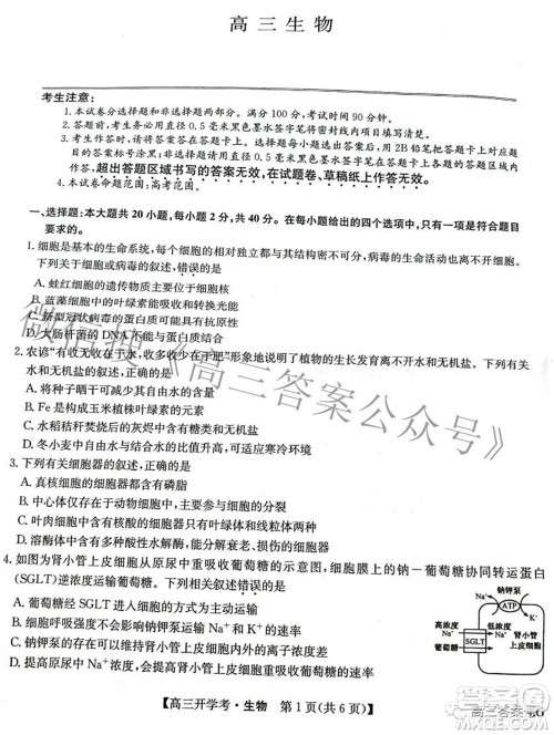 2023届九师联盟9月联考老高考高三生物试题及答案