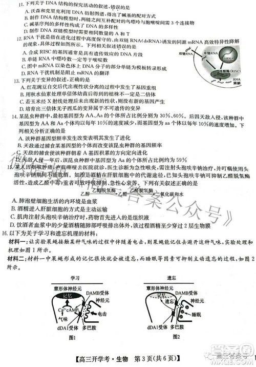 2023届九师联盟9月联考老高考高三生物试题及答案