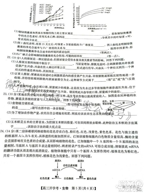 2023届九师联盟9月联考老高考高三生物试题及答案