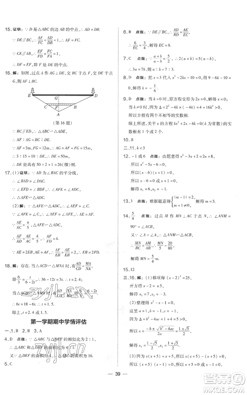 山西教育出版社2022秋季点拨训练九年级上册数学湘教版参考答案