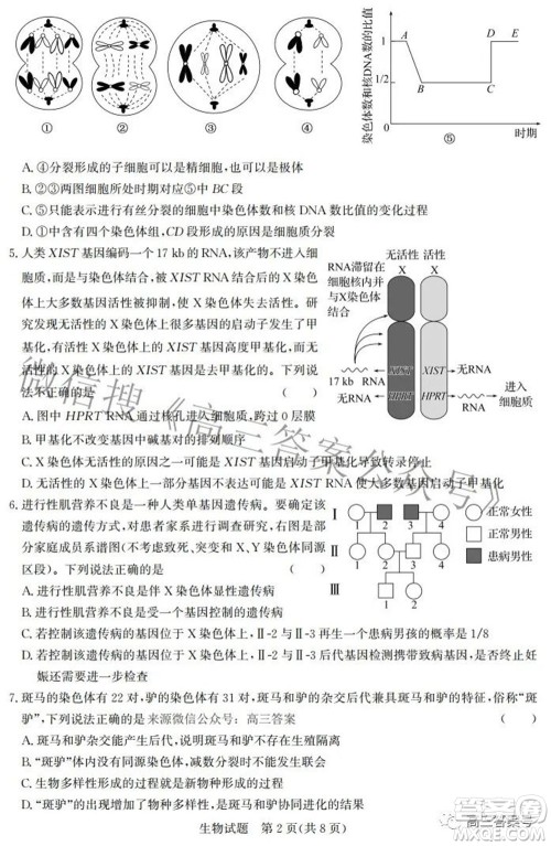 邯郸市2023届高三年级摸底考试试卷生物试题及答案