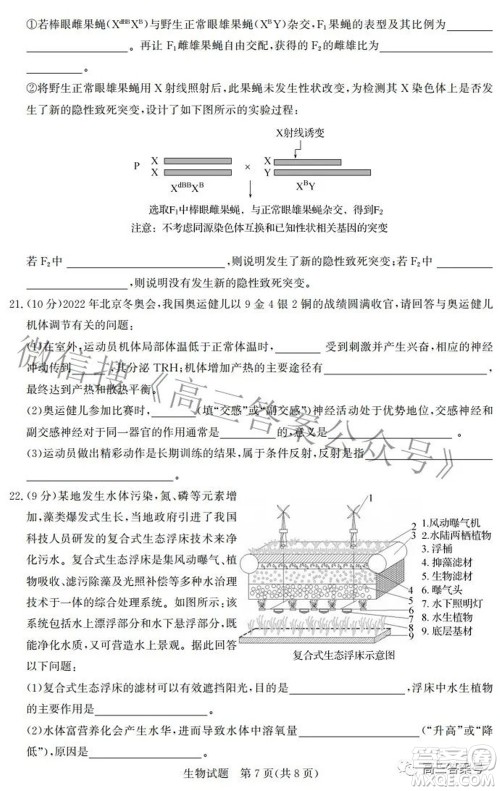 邯郸市2023届高三年级摸底考试试卷生物试题及答案 邯郸市2023届高三年级摸底考试试卷生物试题及答案