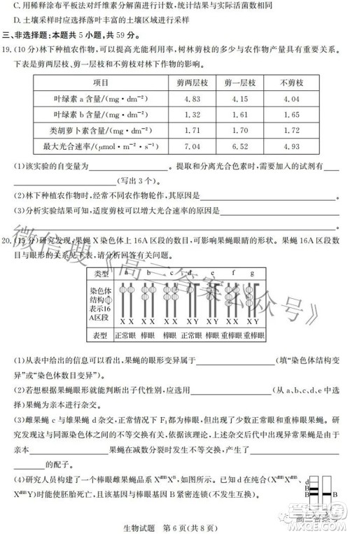邯郸市2023届高三年级摸底考试试卷生物试题及答案 邯郸市2023届高三年级摸底考试试卷生物试题及答案