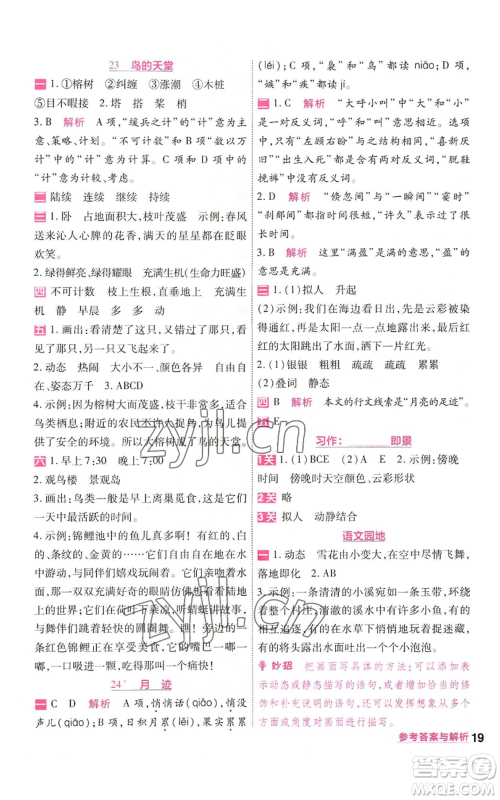 南京师范大学出版社2022秋季一遍过五年级上册语文人教版参考答案 南京师范大学出版社2022秋季一遍过五年级上册语文人教版参考答案