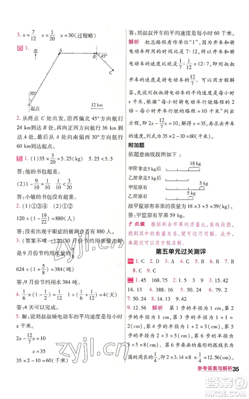 南京师范大学出版社2022秋季一遍过六年级上册数学人教版参考答案