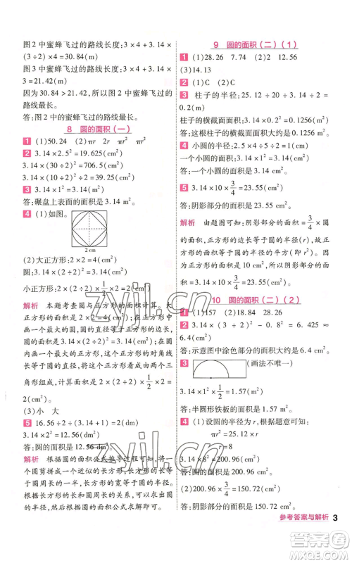 南京师范大学出版社2022秋季一遍过六年级上册数学北师大版参考答案