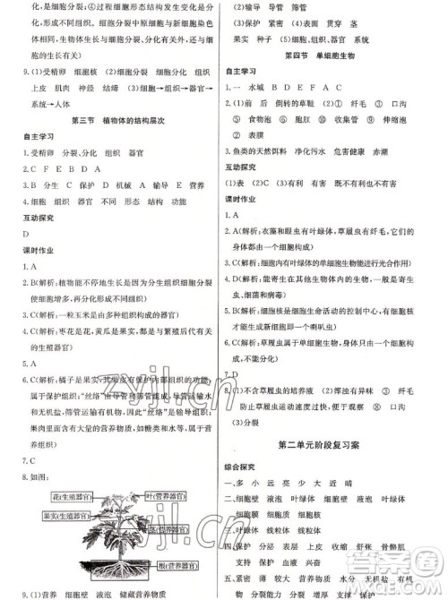 长江少年儿童出版社2022长江全能学案同步练习册生物学七年级上册人教版答案 长江少年儿童出版社2022长江全能学案同步练习册生物学七年级上册人教版答案