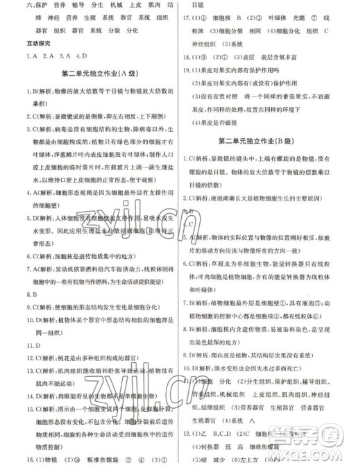 长江少年儿童出版社2022长江全能学案同步练习册生物学七年级上册人教版答案 长江少年儿童出版社2022长江全能学案同步练习册生物学七年级上册人教版答案