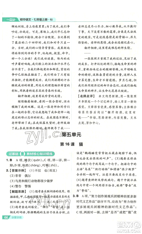 南京师范大学出版社2022秋季一遍过七年级上册语文人教版参考答案 南京师范大学出版社2022秋季一遍过七年级上册语文人教版参考答案