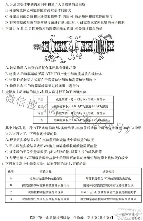 2023届惠阳中山龙门中学惠舟仲恺中学三校高三第一次质量检测试卷生物试题及答案 2023届惠阳中山龙门中学惠舟仲恺中学三校高三第一次质量检测试卷生物试题及答案