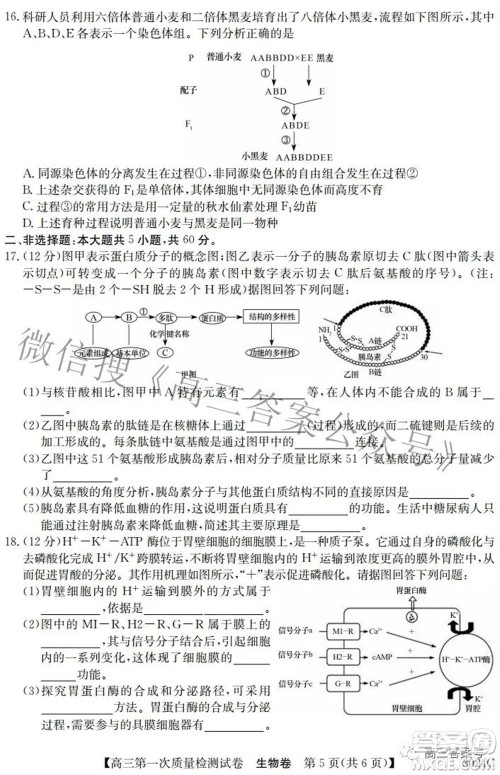 2023届惠阳中山龙门中学惠舟仲恺中学三校高三第一次质量检测试卷生物试题及答案 2023届惠阳中山龙门中学惠舟仲恺中学三校高三第一次质量检测试卷生物试题及答案