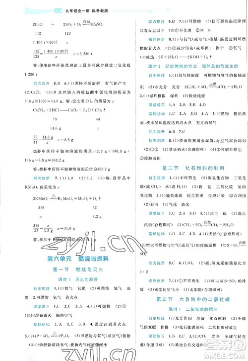 广西师范大学出版社2022新课程学习与测评同步学习九年级化学全一册鲁教版答案