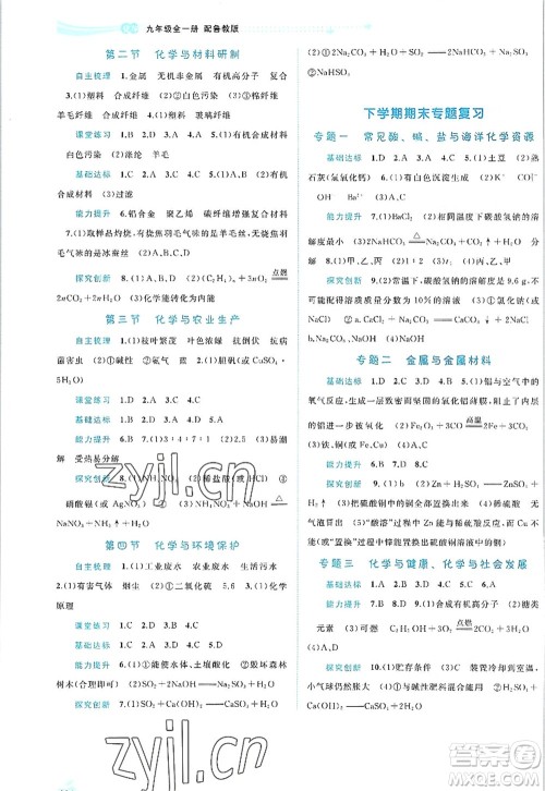 广西师范大学出版社2022新课程学习与测评同步学习九年级化学全一册鲁教版答案
