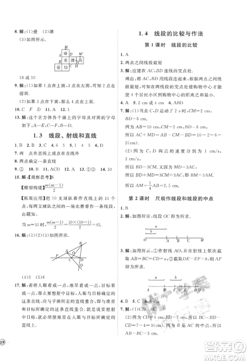 延边教育出版社2022秋季优+学案课时通七年级上册数学青岛版潍坊专版参考答案