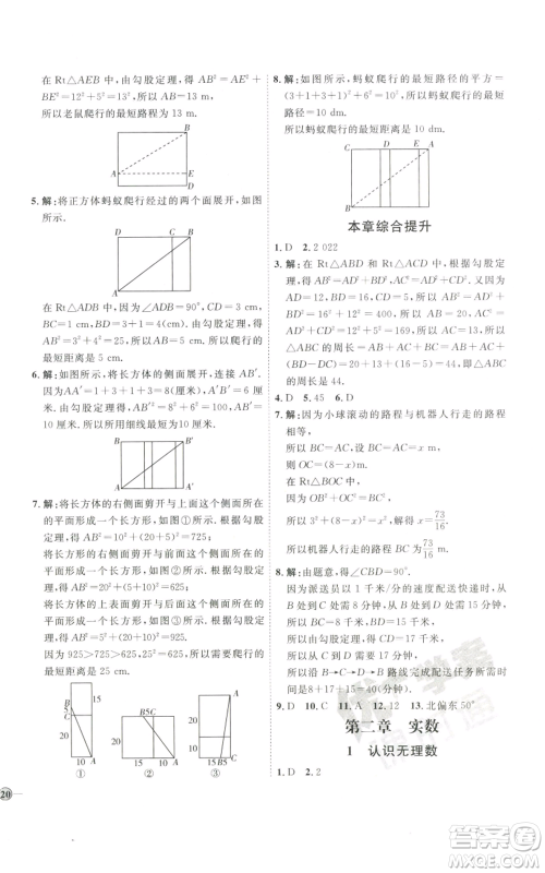 吉林教育出版社2022秋季优+学案课时通八年级上册数学北师大版参考答案 吉林教育出版社2022秋季优+学案课时通八年级上册数学北师大版参考答案