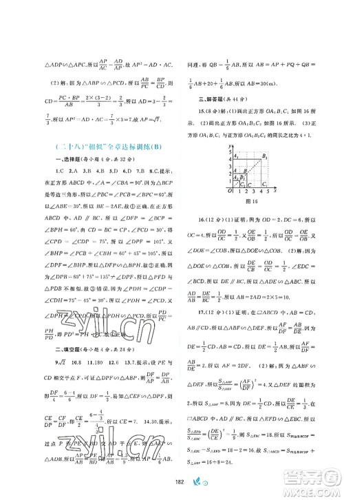 广西师范大学出版社2022新课程学习与测评单元双测九年级数学全一册A人教版答案